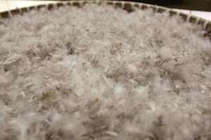 <span class=keywords><strong>Oreiller</strong></span> en plumes de canard blanc en gros Plumes <span class=keywords><strong>d</strong></span>'<span class=keywords><strong>oie</strong></span> remplies produit confortable lavé - Product Image 5