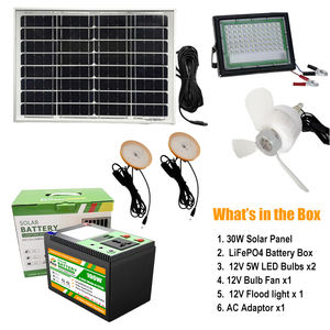 Sistem Energi surya rumah 100W, dengan LifePO4 baterai bohlam lampu banjir pengontrol MPPT untuk Kit pencahayaan tenaga surya rumah - Product Image 6