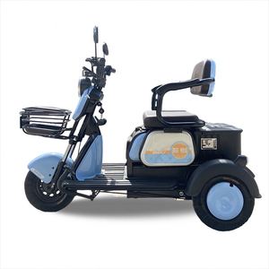 Top and Popular 35 Km/H Trike Folding Bike Foldable for the Passenger Adult - Product Image 1