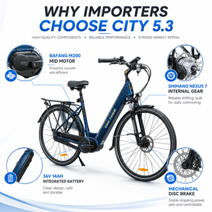Vélo de ville CITY 5.3 avec cadre en aluminium, moteur central 250W, batterie 36V14Ah, <span class=keywords><strong>Nexus</strong></span> <span class=keywords><strong>7</strong></span> vitesses, freins à disque, homologué CE EN15194, longue autonomie, léger - Product Image 2