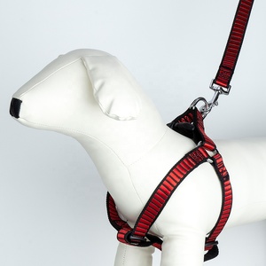 Productos populares para mascotas, collares de entrenamiento, correa para amigos, arnés para perros, conjunto de Collar, correa de nailon, conjunto de arnés para perros - Product Image 5