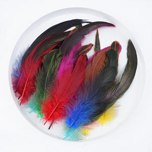 50 Plumes Colorées <span class=keywords><strong>de</strong></span> <span class=keywords><strong>Coq</strong></span> (12-20cm) <span class=keywords><strong>pour</strong></span> Coiffure Indienne, Décoration DIY, Jouet Amusant <span class=keywords><strong>pour</strong></span> Chat, Artisanat, Ornements, Vêtements - Product Image 1
