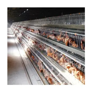 Kapasitas besar dilapisi seng berat 96 / 120 / 128 / 160 lapisan kandang ayam untuk peternakan unggas