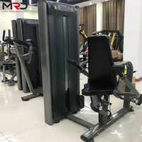 Máquina de Press-down para Tríceps con Peso Ajustable y Agarraderas de Acero de Grado Comercial de Alta Calidad