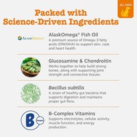 Probiotiques et multivitamines pour chiens 8-en-1 sous forme de gommes pour la digestion et la santé de la peau - Compléments alimentaires pour animaux de compagnie