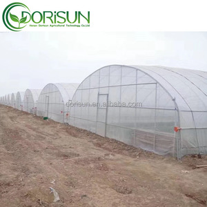 Jardín al aire libre Walk-In Green House Anti Fog Anti Drip Garden Invernadero para la <span class=keywords><strong>venta</strong></span> - Product Image 5