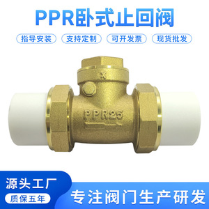 Clapet anti-retour en laiton Mori River PPR32 4/6 pouces DN20/25 pour tuyau d'eau horizontal, structure à une seule palette - Product Image 5