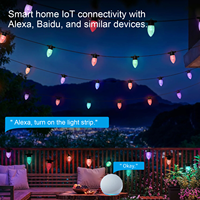 Guirlandes lumineuses LED RGBW commerciales pour extérieur, DC24 36V, contrôle intelligent, IP65, étanches, ampoules LED musicales