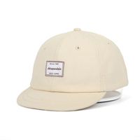 Casquette de baseball personnalisée de haute qualité à 6 panneaux en peluche, en coton, tissu courant, réglable, non structurée, à profil bas, avec étiquette tissée, style Dad Hat