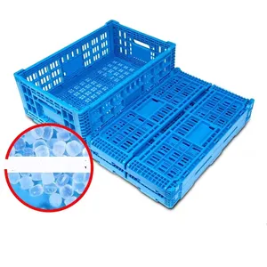 Fruit Vegetable Crates Plastic Storage Bins Collapsible Crate