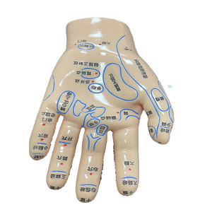 53 सेमी मानव शरीर एक्यूपंक्चर मॉडल, चीनी दवा शिक्षण एक्यूपॉइंट मेनेक्विन दबाव बिंदु एक्यूपंक्चर मॉडल - Product Image 5