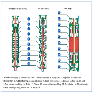 Pompa Sommersa Elettrica Trifase ad Alta Pressione <span class=keywords><strong>per</strong></span> <span class=keywords><strong>Irrigazione</strong></span> - Product Image 4