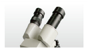 China Supplier Phenix Optical Trinocular Industrial <strong>Polarizing</strong> <strong>Microscope</strong> - Product Image 4