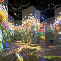 Système de projection interactif immersif pour grandes salles avec expérience visuelle murale et au sol pour les musées