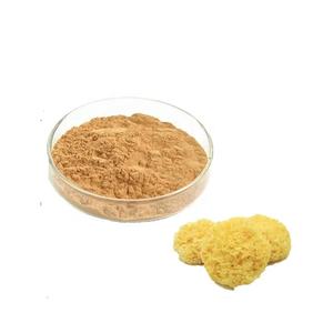 Оптовая продажа, водорастворимый органический порошок гриба тремеллы, полисахарид, экстракт гриба тремеллы, порошок - Product Image 2