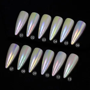 Nail Art Decoratie 2 In 1 Magic Effen Aurora Nail Spiegel Poeder 12 Kleuren Voor Het Kiezen Chrome Pigment