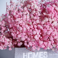 Buket bunga asli berkualitas tinggi Model E-GF merek FLEUR Gypsophila yang diawetkan napas bayi indah warna-warni pernikahan berkualitas A