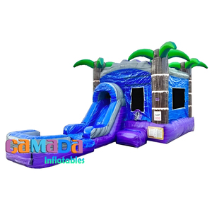 Les glissières gonflables commerciales tropicales <span class=keywords><strong>de</strong></span> PVC écrasent le rebond gonflable <span class=keywords><strong>de</strong></span> marbre <span class=keywords><strong>de</strong></span> glissière d'eau <span class=keywords><strong>de</strong></span> videur combiné - Product Image 5