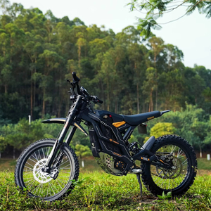 Motocicleta Todoterreno 2026, 79Bike, Potencia 16.8KW, Velocidad Máxima 100km/h, Torque 610N.m - Product Image 1
