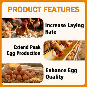 Premezcla de Vitaminas al 0.1% para Gallinas Ponedoras |   Suplementos para Aves de Corral y Aditivos para Alimentos para Animales |    Mejora el Rendimiento de los Huevos - Product Image 4