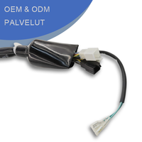 Faisceau de câblage OEM ODM pour l'intérieur automobile, faisceau de câblage principal électronique personnalisé, IP66 12V E00028, assemblage de câbles
