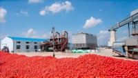 Automatische verwerkingsinstallatie voor tomatenpuree & ketchupproductie met aangepaste capaciteit