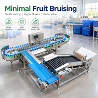 Multifunctionele fruitselectiemachine geschikt voor passievrucht, papaja, sinaasappel en andere landbouwvruchten