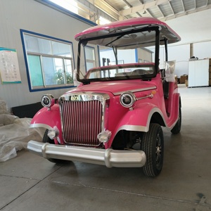 Véhicule de tourisme électrique vintage classique à vendre : 80-100 km d'autonomie, 6-14 places, <span class=keywords><strong>alternateur</strong></span> 4000W - Product Image 4