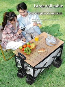 Petite voiture <span class=keywords><strong>de</strong></span> pêche portable pliable coulissante pour bébé pour <span class=keywords><strong>la</strong></span> maison Nouvelle roue large pour le <span class=keywords><strong>camping</strong></span> en plein air Stall Express OEM Support personnalisé - Product Image 3