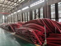 Macchina di Aspirazione per Grano e Mais, Trasportatore Pneumatico per Cereali 380V 50Hz