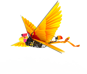 飛ぶ鳥おもちゃ消耗品とアクセサリー Alibaba Com 飛ぶ鳥おもちゃ消耗品とアクセサリー Alibaba Com