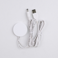 Interruptor Táctil LED de Bajo Voltaje DC12V/24V 5A para Tablero de Madera, Regulador de Intensidad IP22 60W/120W con Enchufe USB, para Muebles Inteligentes de Superficie Oculta