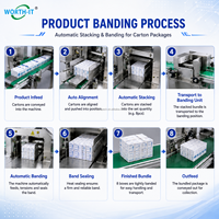 Machine d'emballage automatique multicouche pour boîtes pharmaceutiques et cosmétiques, configuration de paquets réglable, écran tactile PLC