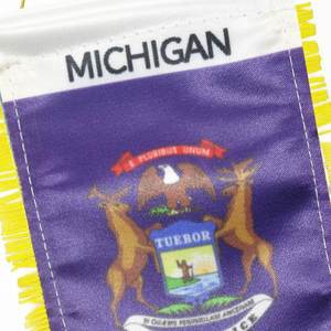 Bandera Personalizada de Satén del Estado de Michigan, Impresión Digital, Mini Bandera para Auto, Borlas Amarillas, Hecha de Poliéster y Plástico, para Uso Automotriz - Product Image 5