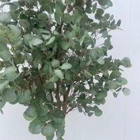 Arbre d'eucalyptus artificiel sur mesure, grand format, pour décoration intérieure, en plastique, style bonsaï, idéal pour les fêtes d'anniversaire, aspect faux Dollar d'argent