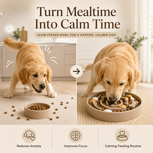 Ciotola Lenta per Cani: Ciotola Anti-Ingozzamento per Cani Veloci, Stimolazione Mentale, Puzzle Alimentare, Alimentazione Sana e Calmante - Product Image 4