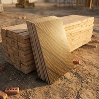 Factory Construction Anti-Corrosion Plywood Building Templates Timber Formwork