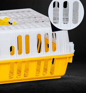 Cage de Transport des poules en plastique, 2 pièces, Cage de Transport des oiseaux - Product Image 4