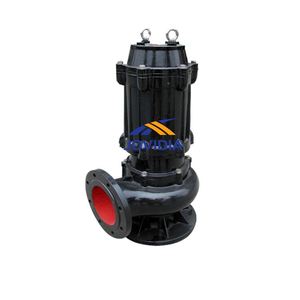 Pompes submersibles pour eaux usées, pompe à eau submersible verticale, pompe à eaux usées simple - Product Image 2