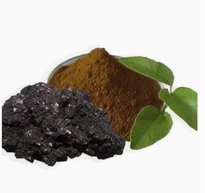 Порошок экстракта шиладжита, 500 мг, 60 капсул - Product Image 2