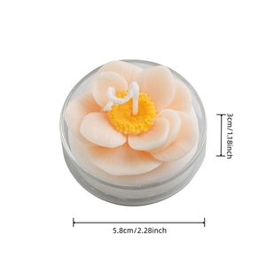 Exquisitas Velas Aromáticas Decorativas Hechas a Mano con Mini Plantas Verdes, Vela <span class=keywords><strong>de</strong></span> Flores Creativa para Regalo - Product Image 5