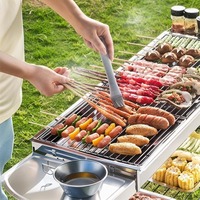 Barbecue portable en acier inoxydable, petit barbecue pliable pour le camping, au charbon de bois, pour rôtir la viande en plein air