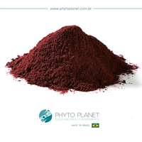 Polvo de Acai - Marca Privada