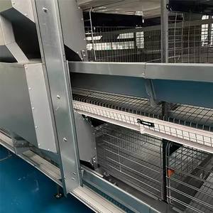 Nieuwe ODM merk H-type automatische legkippenhouderij apparatuur 304 roestvrijstalen batterijkooi automatische eierenverzamelmachine - Product Image 4