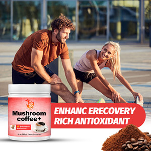 Poudre de café aux champignons en gros pour la récupération et la richesse antioxydante – Complément alimentaire au café Reishi et Chaga - Product Image 4