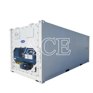 US Brand New Carrier 20ft Reefer 20 ft Refrigerated Freezer Container 20ft for Sale in Tianjin Qingdao