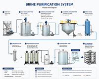 Système de purification d'eau salée industrielle, installation de traitement de la saumure avec colonne de résine échangeuse d'ions pour l'industrie chimique