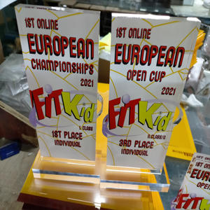 Troféus acrílicos de animais fofos e troféus, fabricante de máquinas personalizadas de competição de badminton - Product Image 3