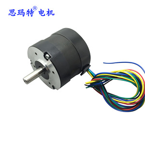 Motor sin Escobillas 57Bl, Montaje de Brida de 57 mm, 12v 24v 36v 48v 50w 100w 200w - Product Image 1