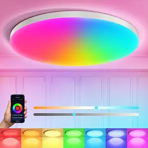 RGB Led Flush Mount Ceiling Light with Remote Control 13Inch 24W 2400LM 3000-6500K Dimmable Color Changing Light Fixture Modern
